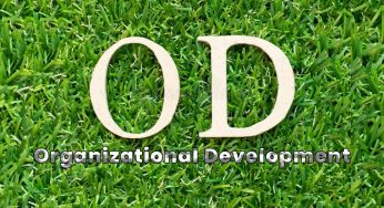 Organizational Development (OD) Services in Kampala, Uganda: Unlocking Your Business Potential