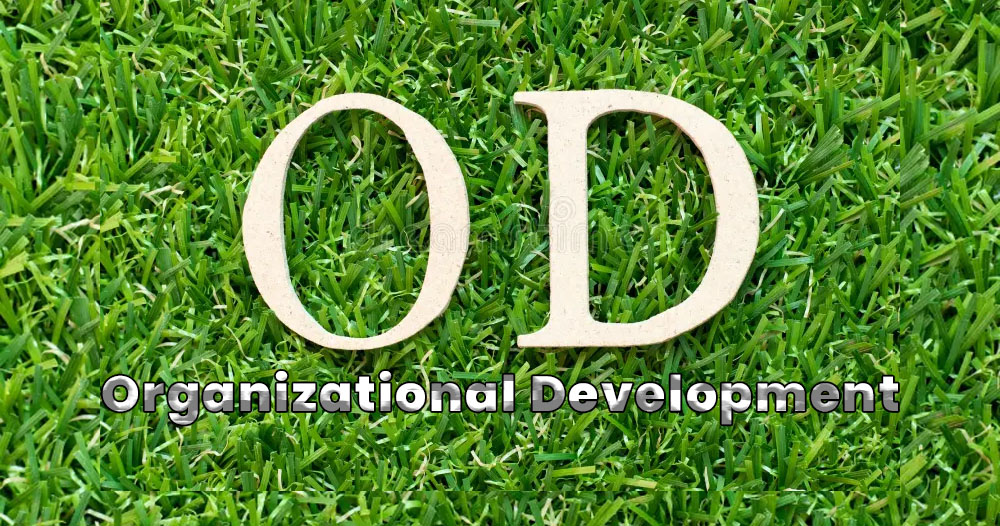 Organizational Development (OD) Services in Kampala, Uganda: Unlocking Your Business Potential
